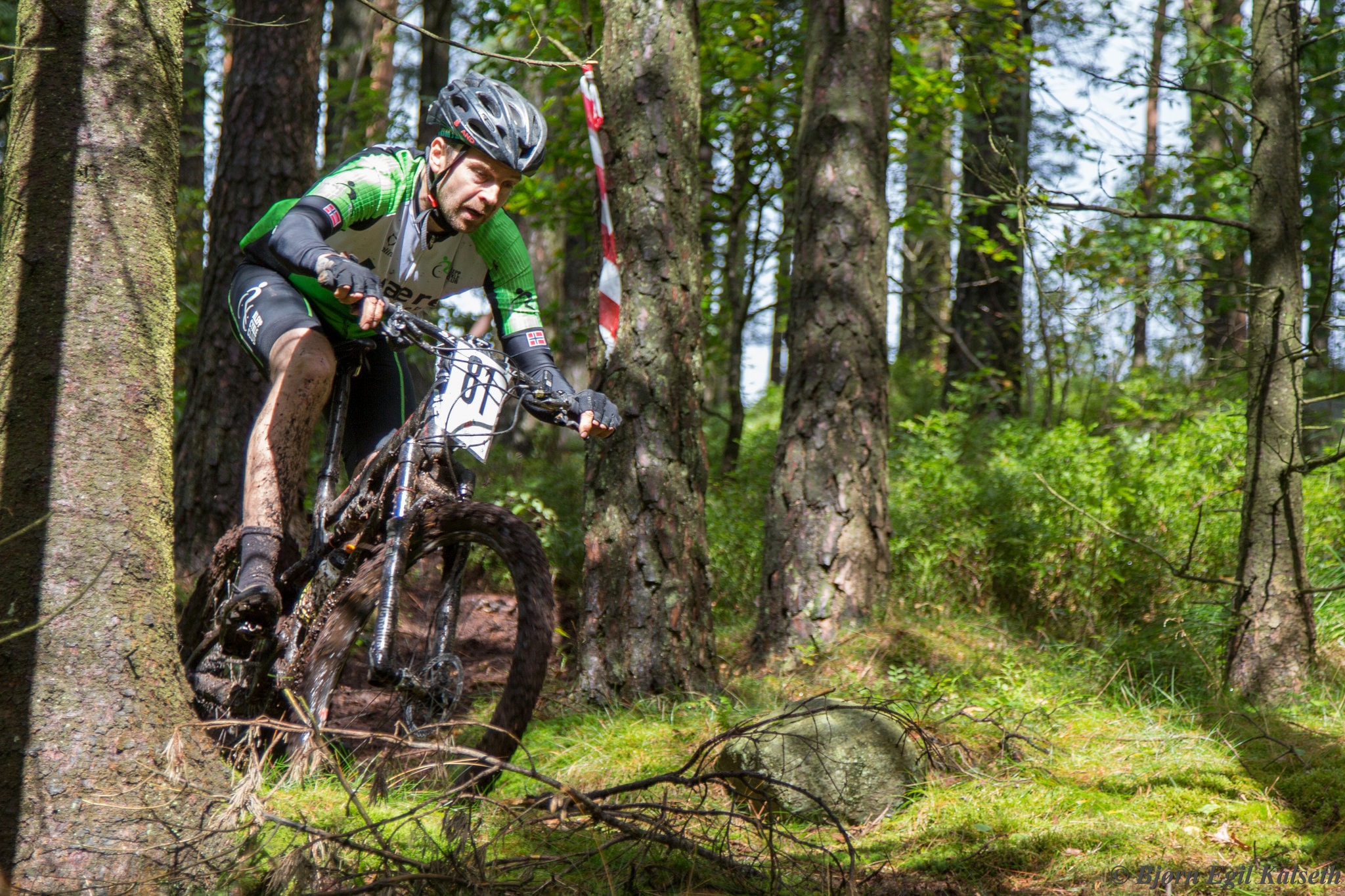 Kalbergskogen rundt 2018